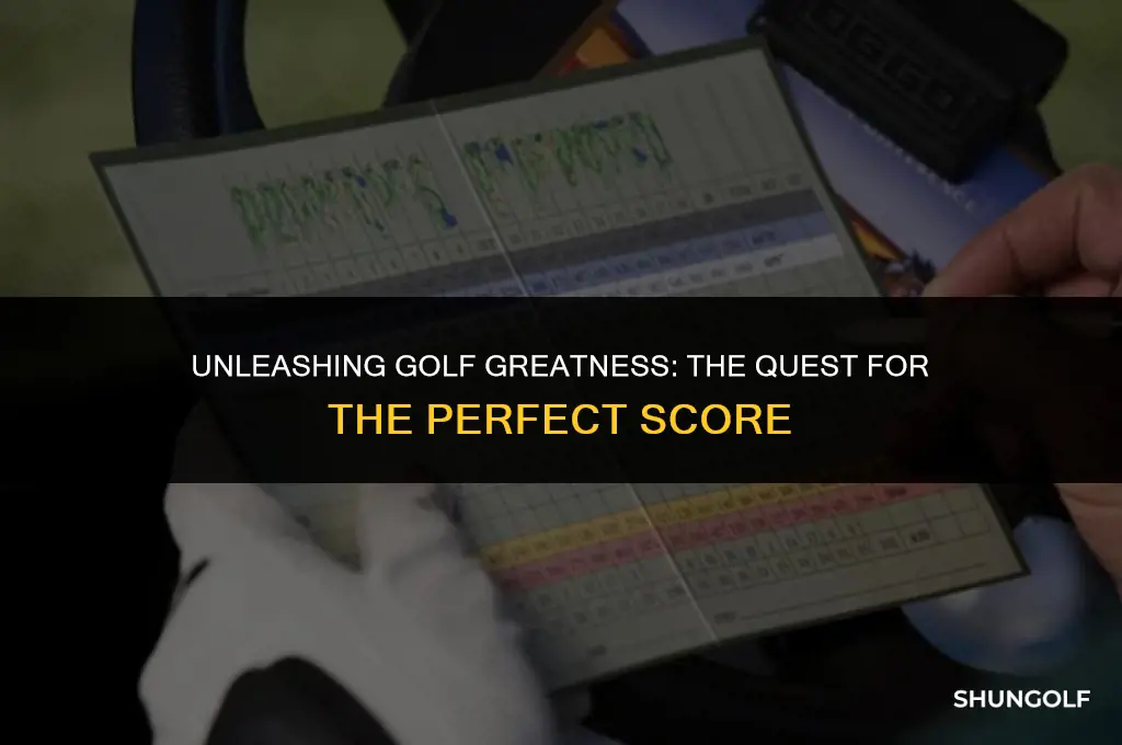 what is the best golf score ever