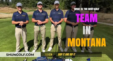 Montana's Premier Golf Teams: A Comprehensive Ranking