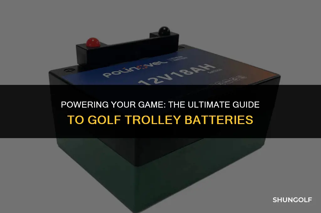 what is the best golf trolley battery