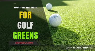 Unveiling the Perfect Turf: A Guide to Golf Green Grass Selection