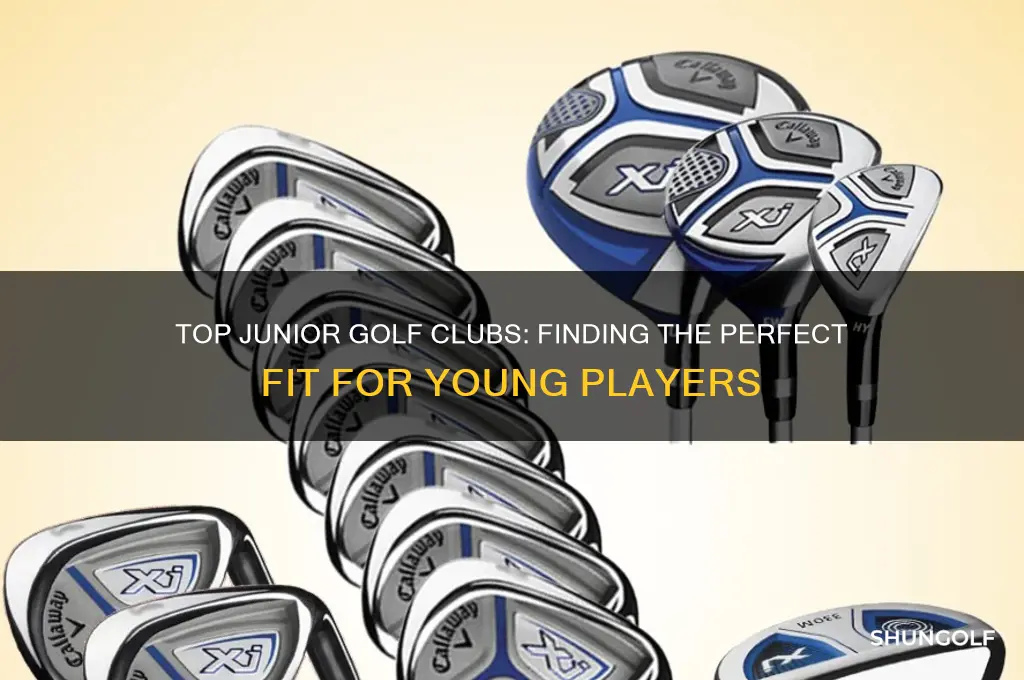 what is the best junior golf clubs