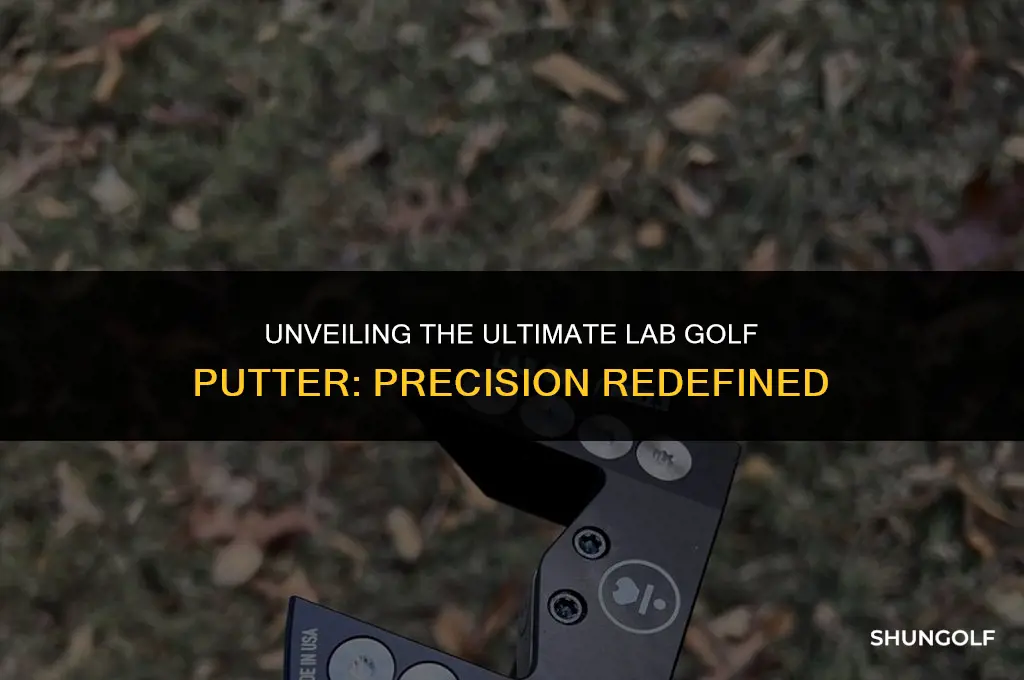 what is the best lab golf putter
