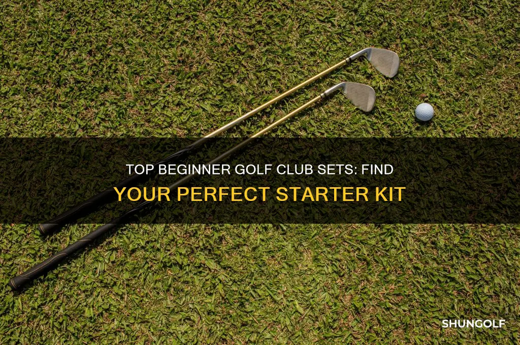 what is the best starter set of golf clubs