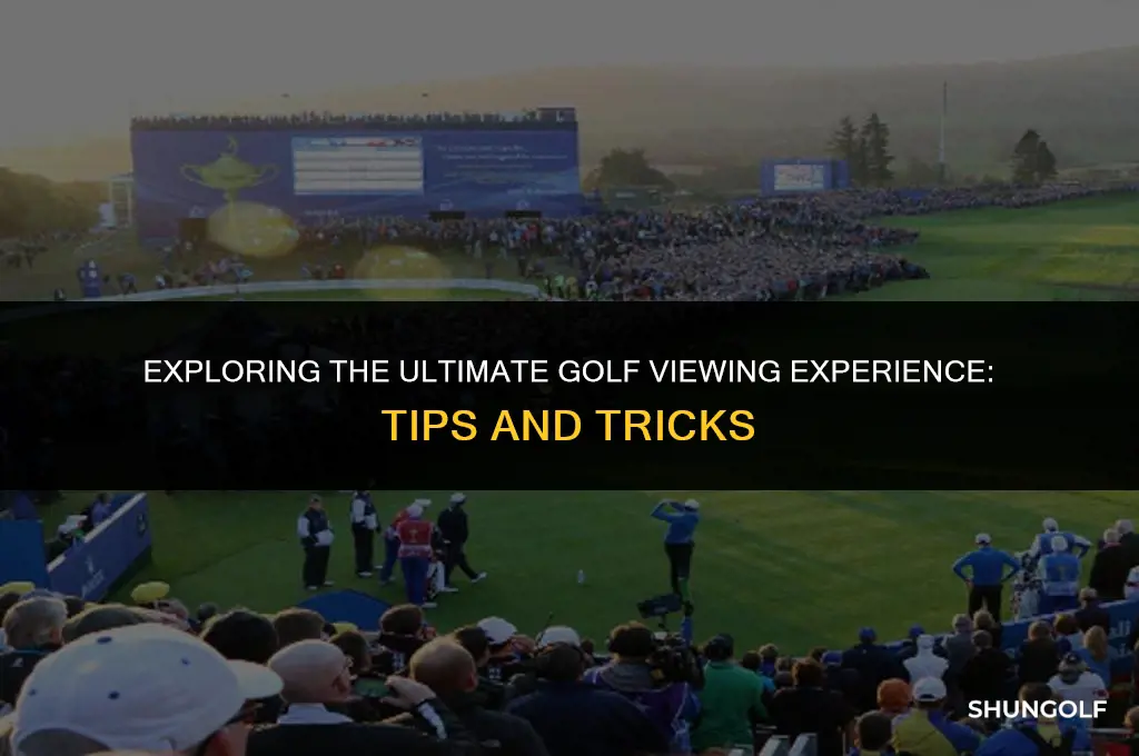 what is the best way to watch golf
