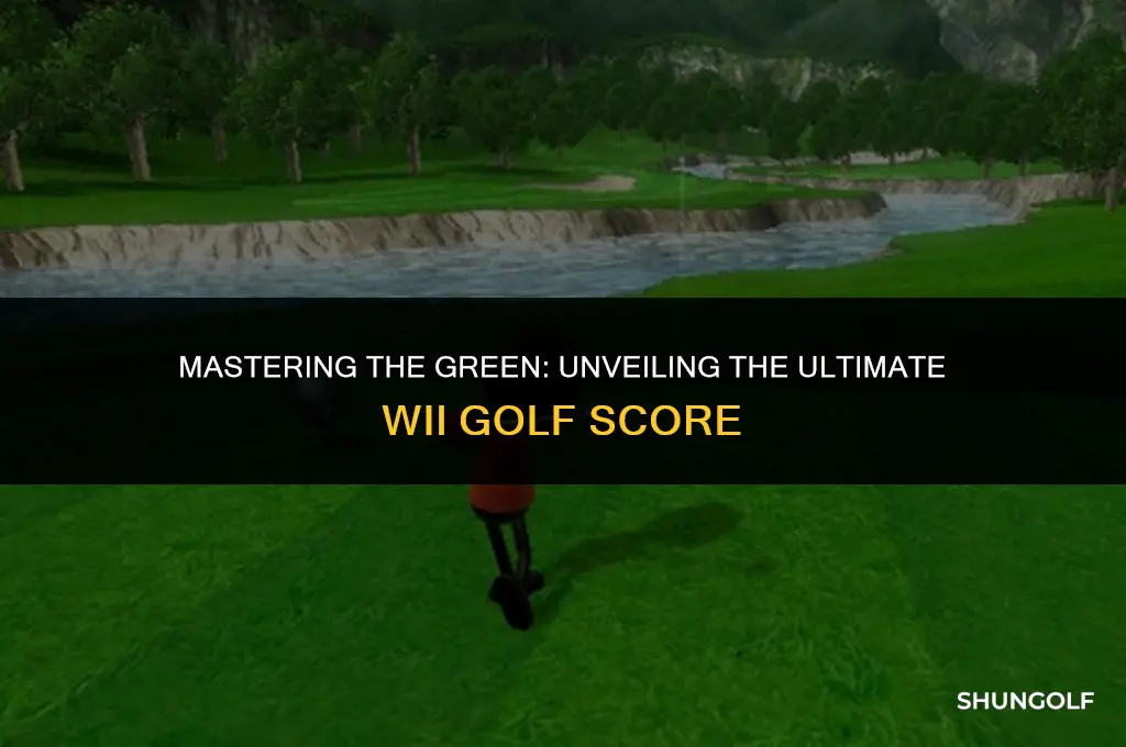 what is the best wii golf score
