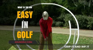 Understanding the Big Easy Swing in Golf: Technique and Benefits