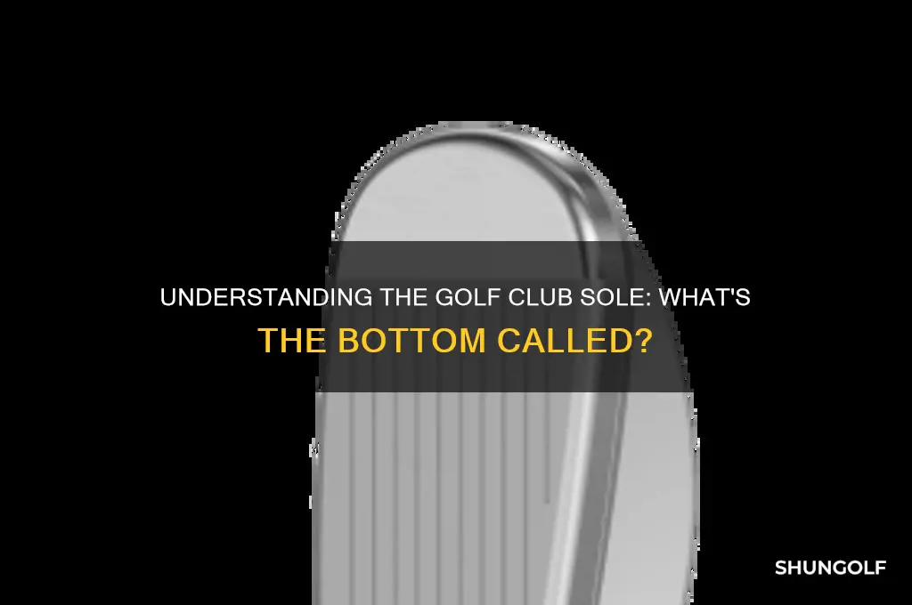 what is the bottom of a golf club called