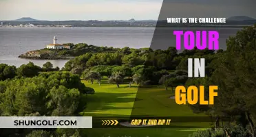 Understanding the Challenge Tour: Golf's Gateway to Professional Success