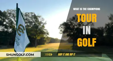 Exploring the Champions Tour: Golf's Premier Senior Competition