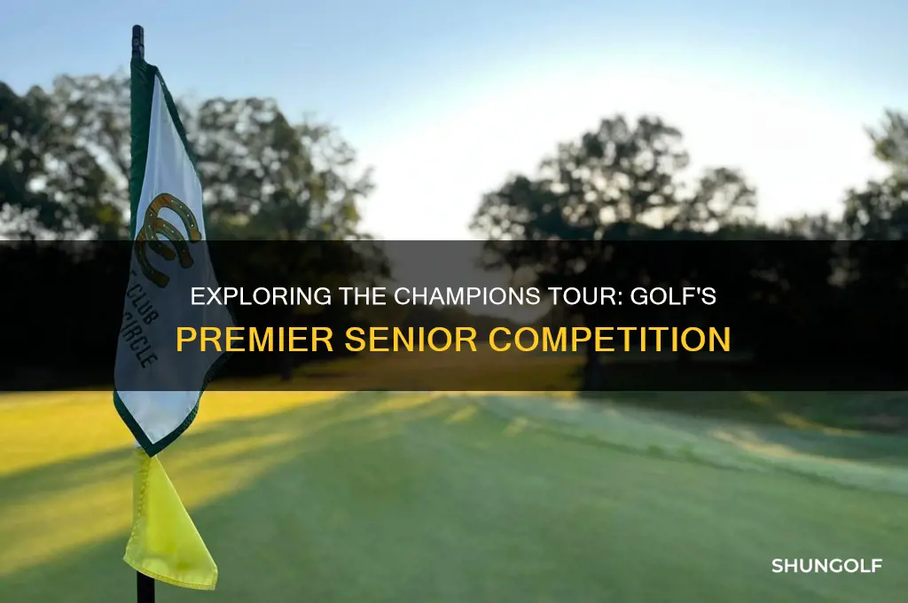 what is the champions tour in golf