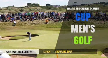 Understanding the Charles Schwab Cup: Men's Golf Championship Explained