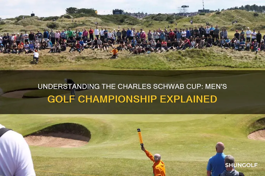 what is the charles schwab cup men