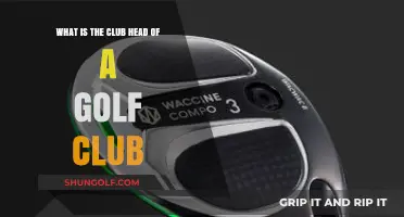 Understanding the Golf Club Head: Design, Function, and Impact on Your Game