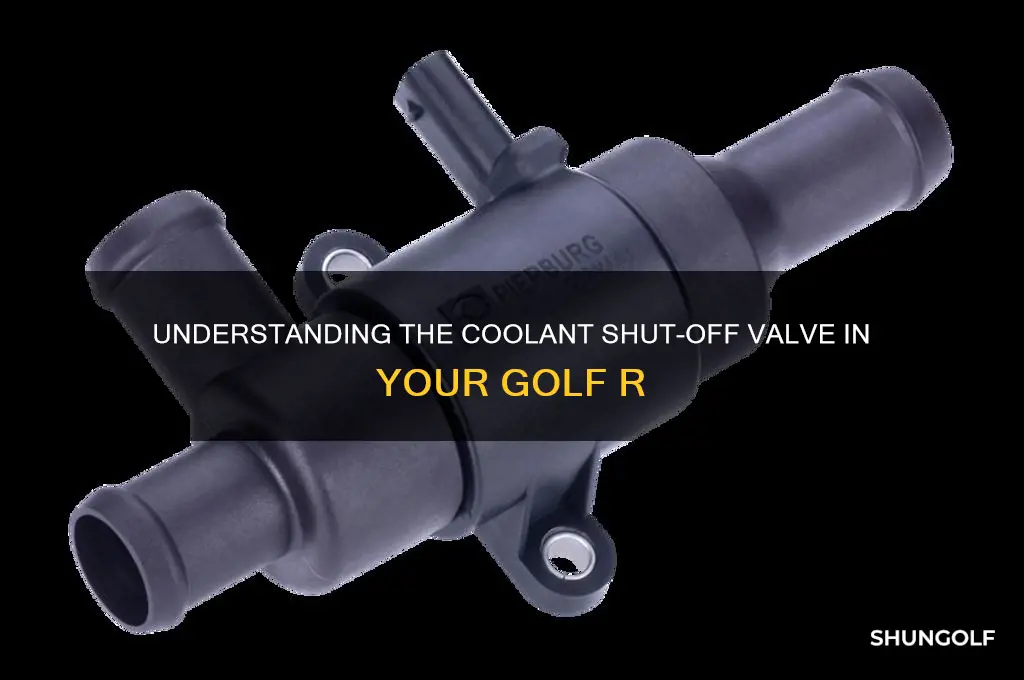 what is the coolant shut off vlave in golf r