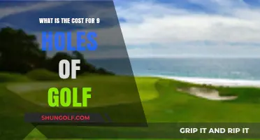Exploring the Average Cost for a 9-Hole Golf Round