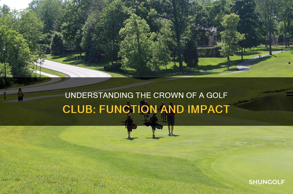what is the crown of a golf club