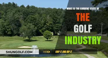 Exploring the Golf Industry's Current Trends, Challenges, and Opportunities