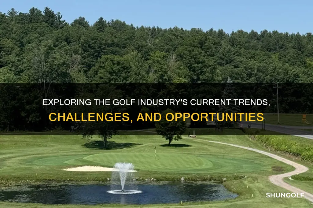 what is the current state of the golf industry