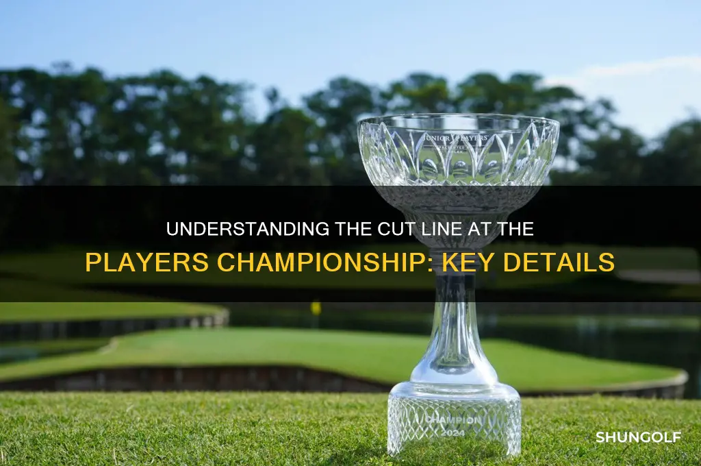 what is the cut at the players championship