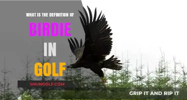 Understanding Birdie: A Simple Definition of Golf's Popular Scoring Term