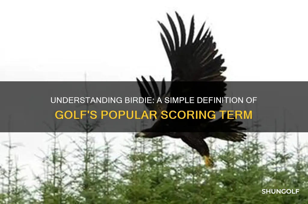 what is the definition of birdie in golf