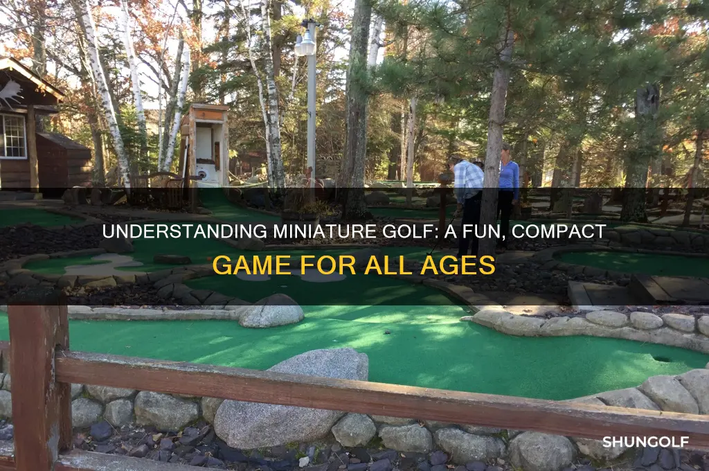 what is the definition of miniature golf