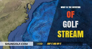 Understanding the Gulf Stream: Definition, Impact, and Importance Explained