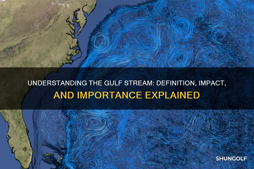what is the defntion of golf stream