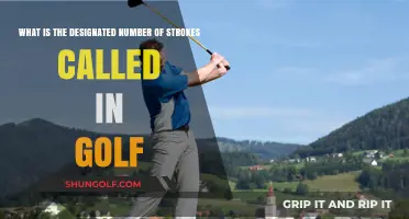 Understanding Golf's Par: The Designated Number of Strokes Explained