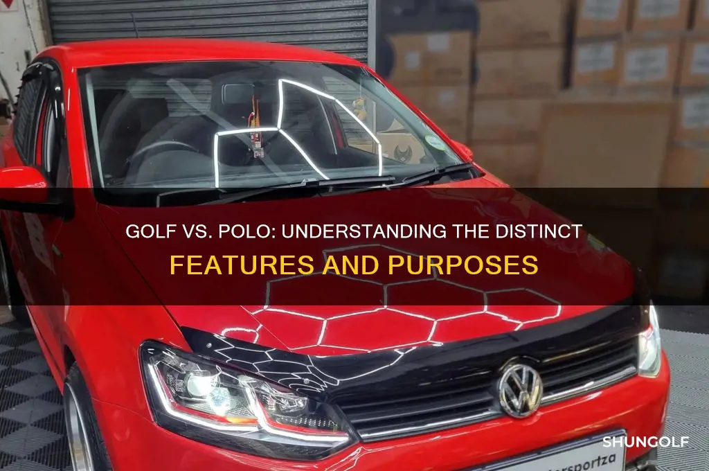 what is the difference between a golf and a polo
