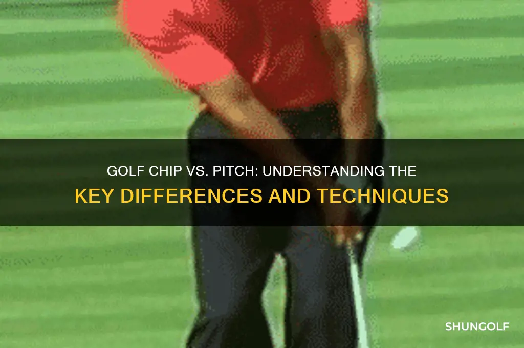 what is the difference between a golf chip and pitch