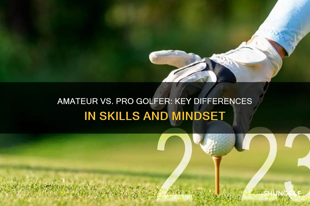 what is the difference between an amateur and pro golfer