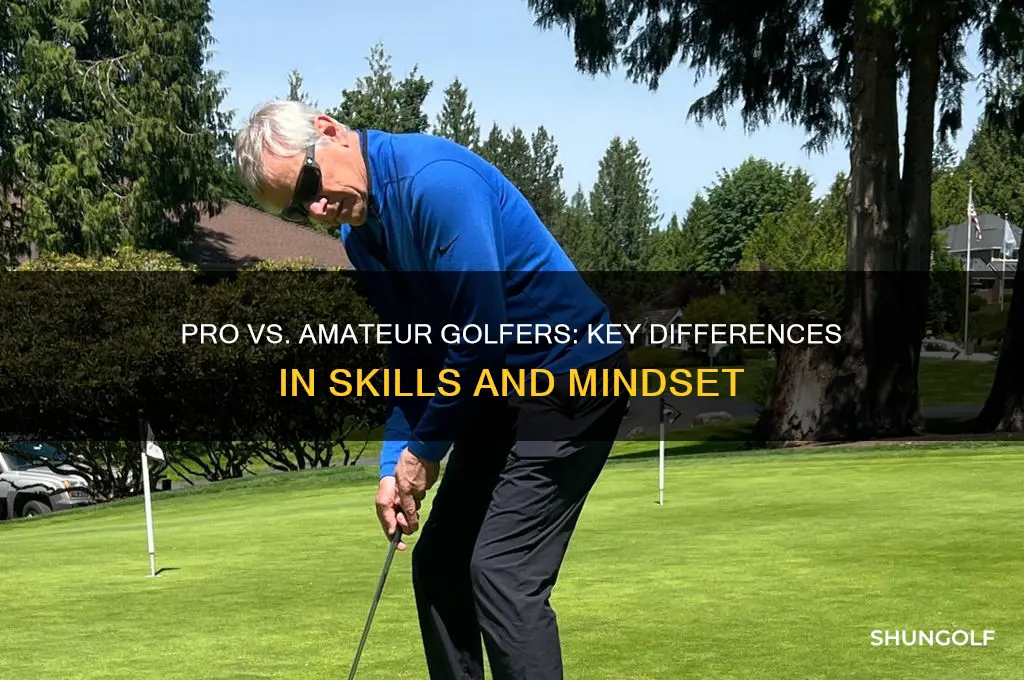 what is the difference between pro and amature golfer
