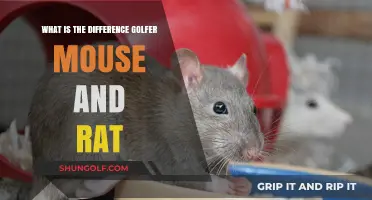 Golfer, Mouse, and Rat: Unraveling the Surprising Differences