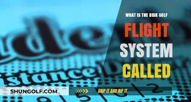 Understanding the Disc Golf Flight Rating System: A Beginner's Guide