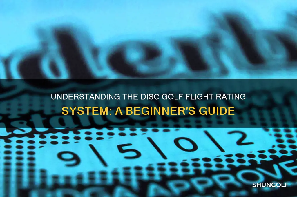 what is the disk golf flight system called