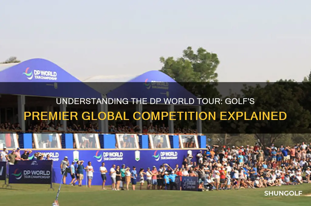what is the dp tour for golf
