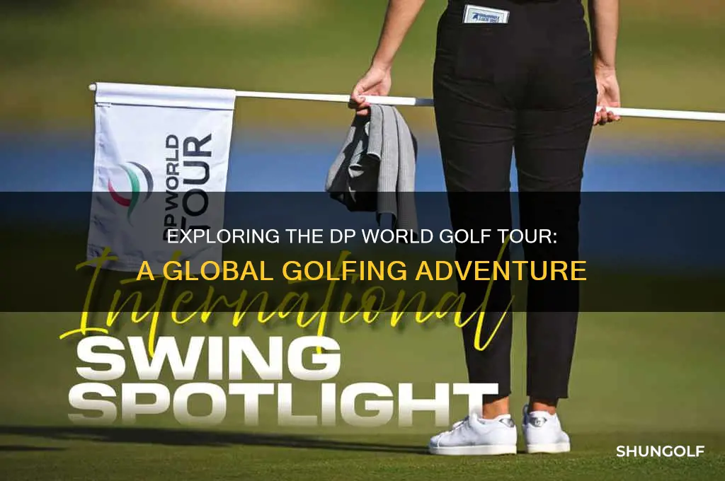 what is the dp world golf tour