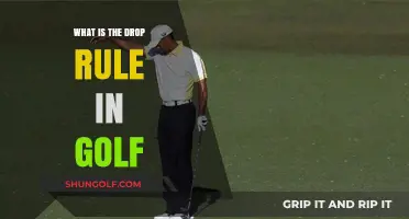 Understanding the Drop Rule in Golf: A Comprehensive Guide