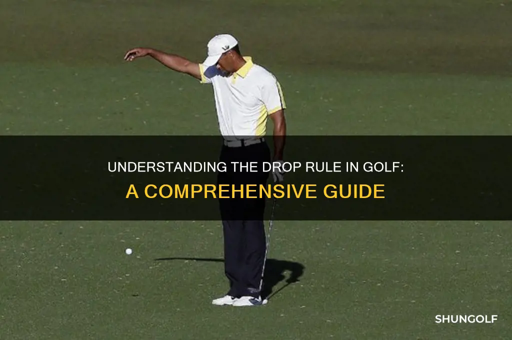 what is the drop rule in golf