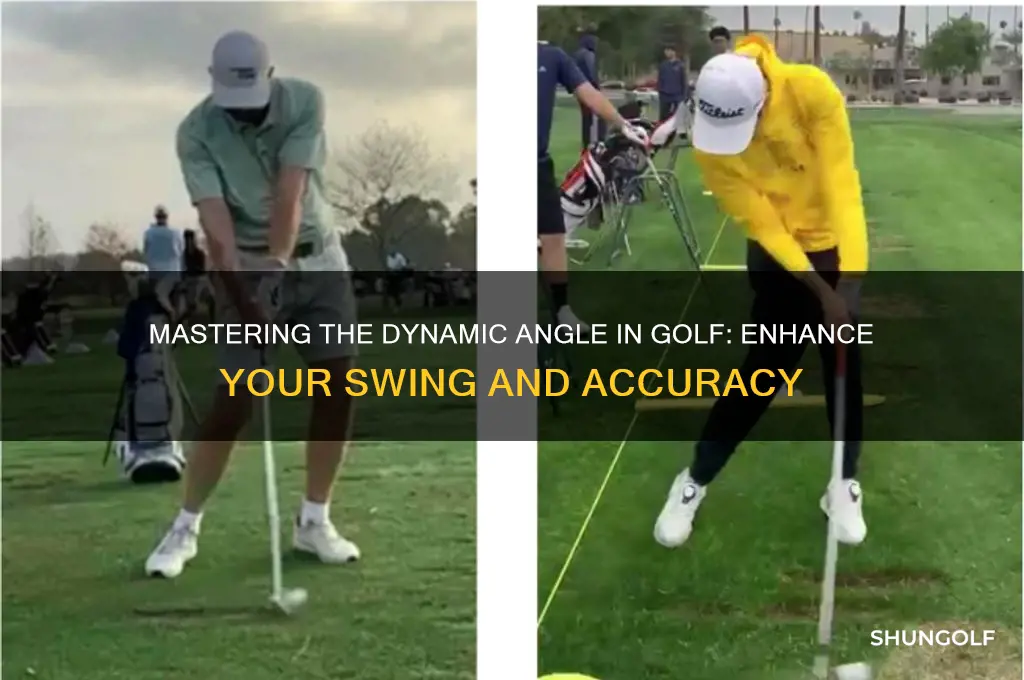 what is the dynamioc anle in golf
