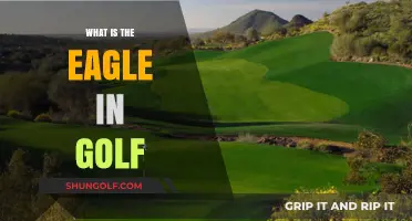 Golf Eagle: Rare Birdie or Lucky Shot?