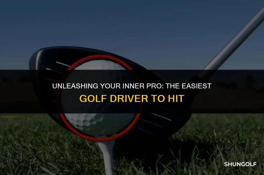 what is the easiest driver to hit golf