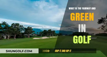 Understanding Golf's Fairway and Green: Key Components of the Course