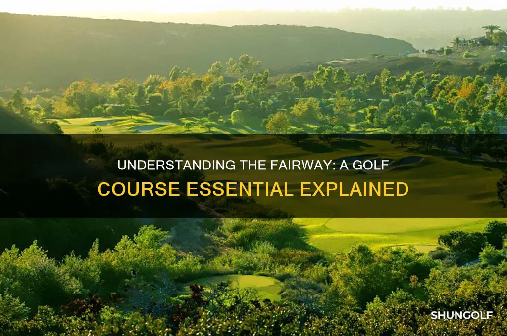 what is the fairway on a golf course