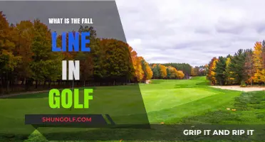 Understanding the Fall Line: A Golfer's Guide to Reading Greens