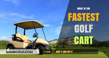 Speeding Up the Fairway: Discovering the Fastest Golf Cart Models