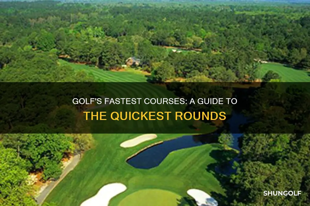 what is the fastest golf