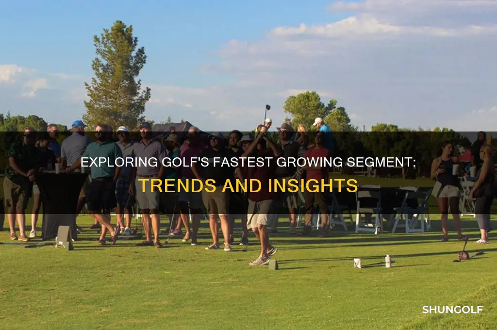 what is the fastest growing segment in golf