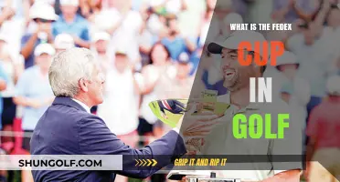 Understanding the FedEx Cup: Golf's Premier Playoff Series Explained